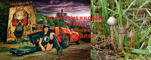 марихуана Абаза