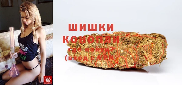 индика Абдулино