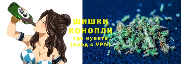 индика Абдулино