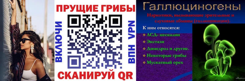 кракен как войти  где купить наркоту  сайты даркнета формула  Галлюциногенные грибы Cubensis  Владимир 