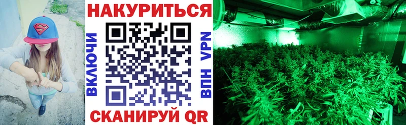 хочу наркоту  Владимир  Каннабис SATIVA & INDICA 